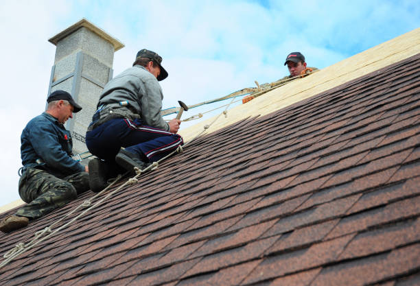Best Roofing Contractors for Homes  in Manchester, IA